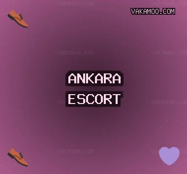 Ankara Escort: Yenimahalle Escort, Elmadağ Escort, Akyurt Escort